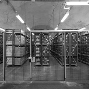Vegetable seed banks carry the illusion of humanity’s future