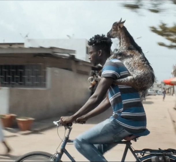 Only the Animals Review: Love Means Giving What You Don’t Have